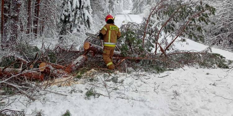 EAttachments9094439b5ab5e4a6d194df8507390462364ead7