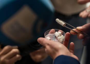 EAttachments90949740cbc713b79d398fc160f195342699356 xl