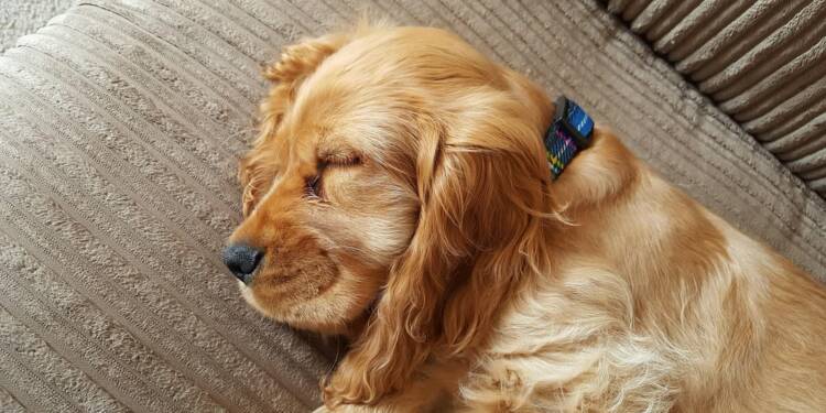 EAttachments909566714012a6266a916381ba2324573cd1e89 xl