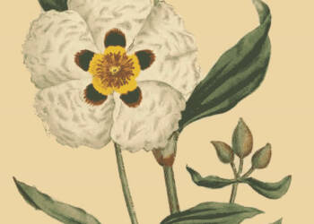 EAttachments90956722ccdffcbed3d56d246c4e960a29549c0 xl