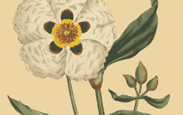 EAttachments90956722ccdffcbed3d56d246c4e960a29549c0 xl