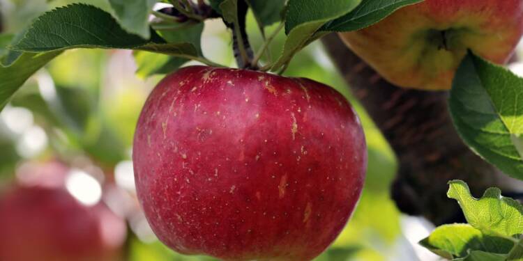 EAttachments909907522b210ec4ed4f184e756ca1d30162e12 xl 1