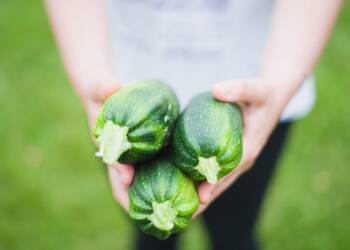 EAttachments91002674738b3179e21bf5df20c7fd1f4f09118 xl