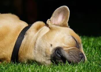 EAttachments9100282b9911f5b00999205ef5995dedb4ed0f0 xl