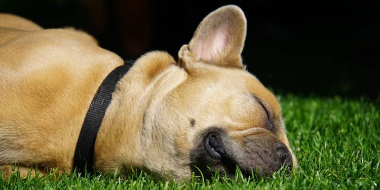 EAttachments9100282b9911f5b00999205ef5995dedb4ed0f0 xl