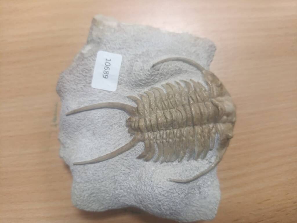 EAttachments91011508039a7f30047990f7dbabb7c8408ce0e xl