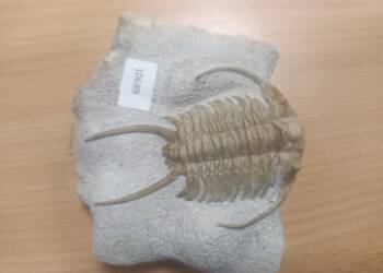 EAttachments91011508039a7f30047990f7dbabb7c8408ce0e xl