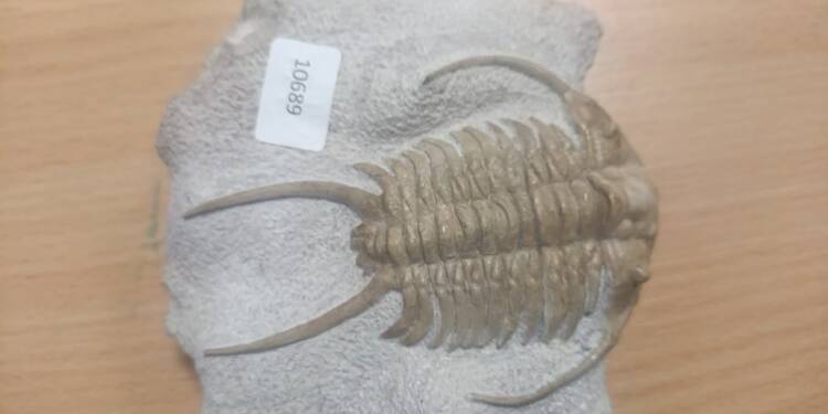 EAttachments91011508039a7f30047990f7dbabb7c8408ce0e xl