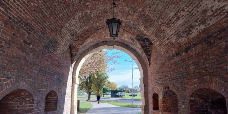 EAttachments9101996993fb4b0ec4b48581eee6ec415e4df00 xl