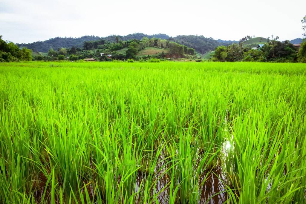 29.11.2025 Ekoradio Lublin - m.in. o badaniach lubelskich naukowców 1 EAttachments9103383285855ce6959e66ddaa11f7529cde0c3 xl