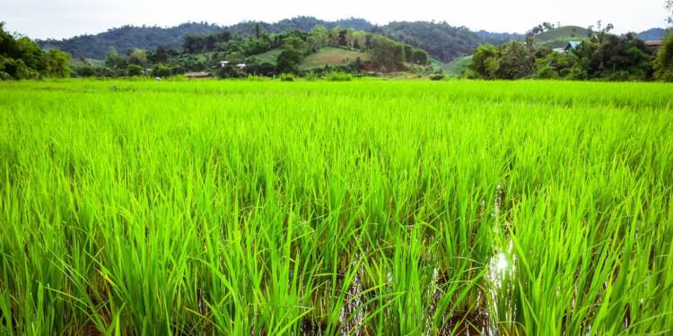 29.11.2025 Ekoradio Lublin - m.in. o badaniach lubelskich naukowców 1 EAttachments9103383285855ce6959e66ddaa11f7529cde0c3 xl