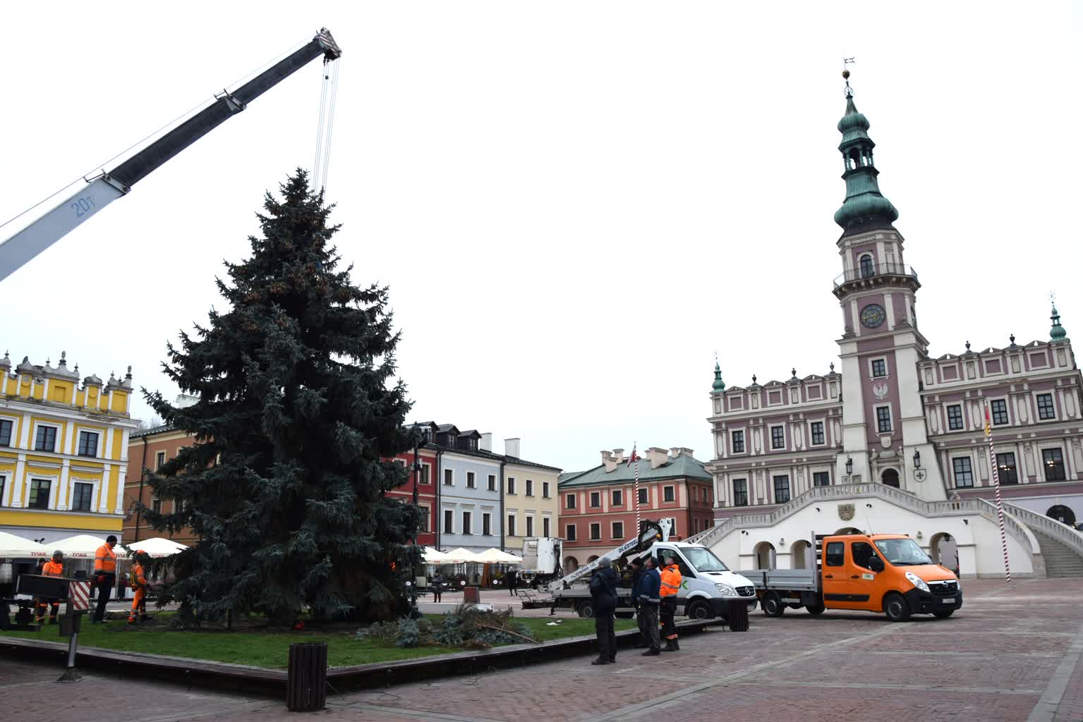 Żywa choinka od mieszkanki na Rynku Wielkim w Zamościu. Uroczyste rozświetlenie 6 grudnia