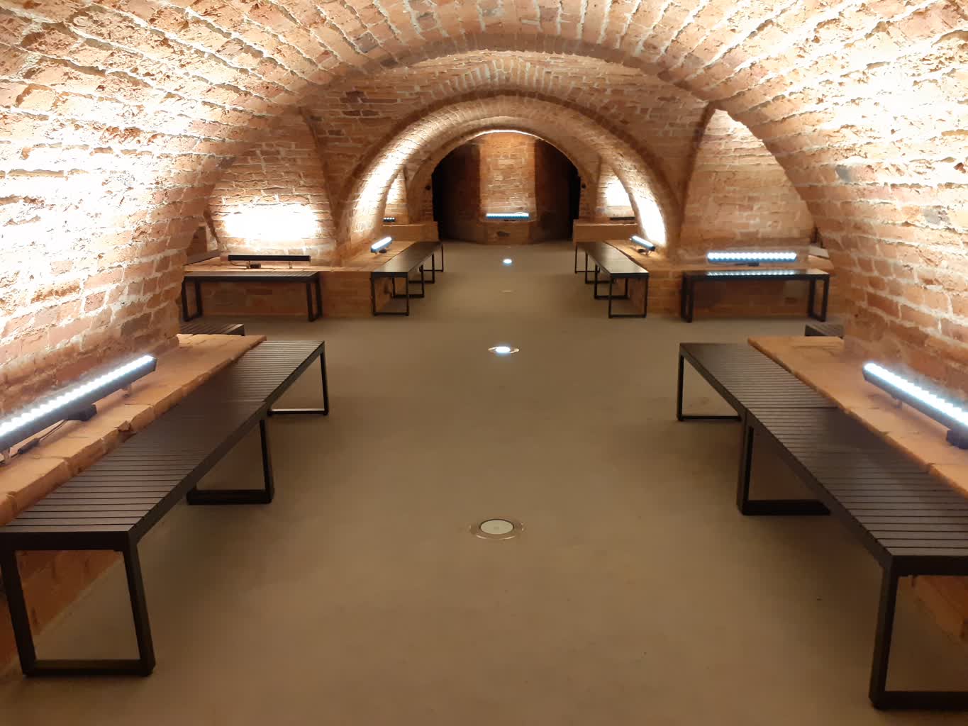 Zaskakujące odkrycia w kryptach. Na co chorowali nasi przodkowie? [ZDJĘCIA]