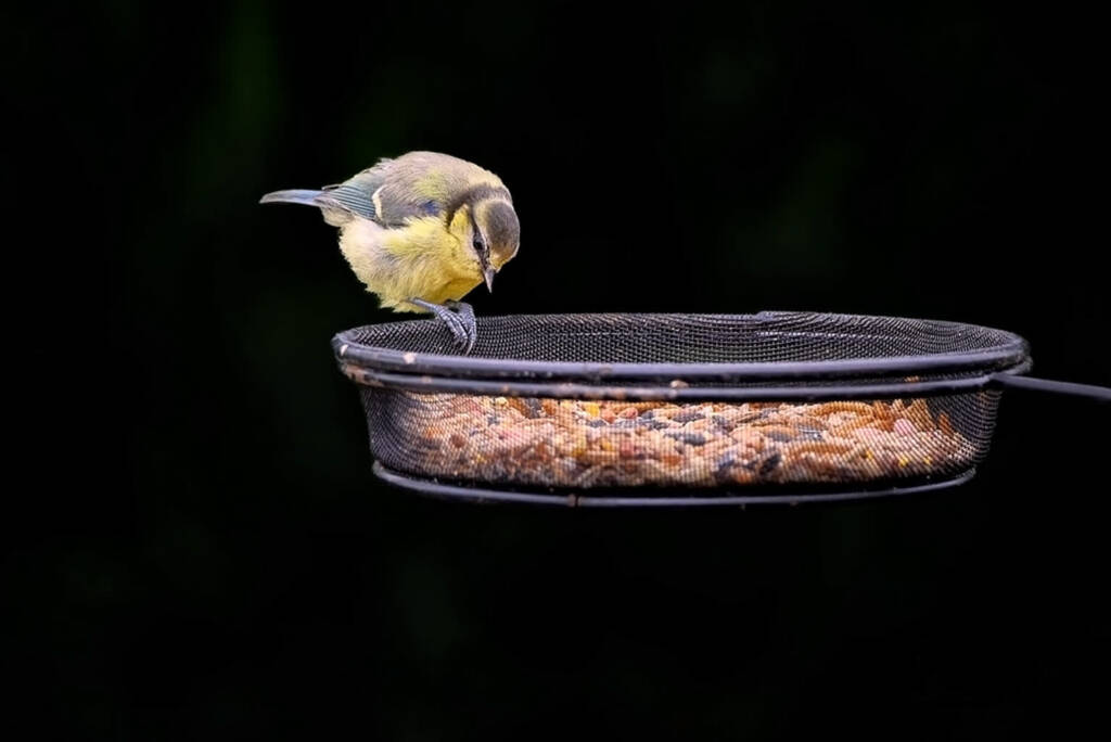 EAttachments9105353800e9ffe77dc0622c41763d28e4702fa xl