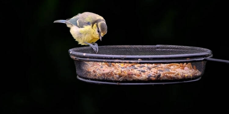 EAttachments9105353800e9ffe77dc0622c41763d28e4702fa xl