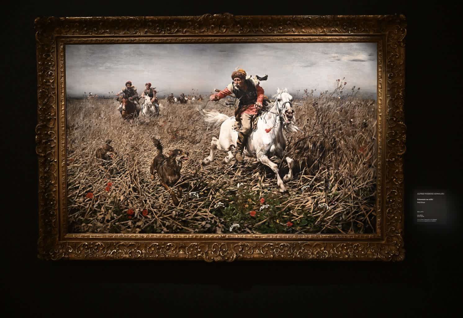 30.11.2025 Halo kultura