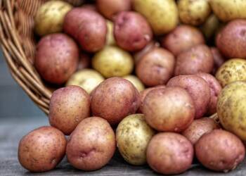 EAttachments9106826079bca8943d724b6aa5a3718353b9dad xl 1024x683 1