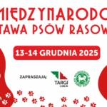 568431665 1134491612190901 4476089218333638715 n