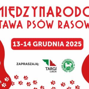 Wydarzenia 65 568431665 1134491612190901 4476089218333638715 n