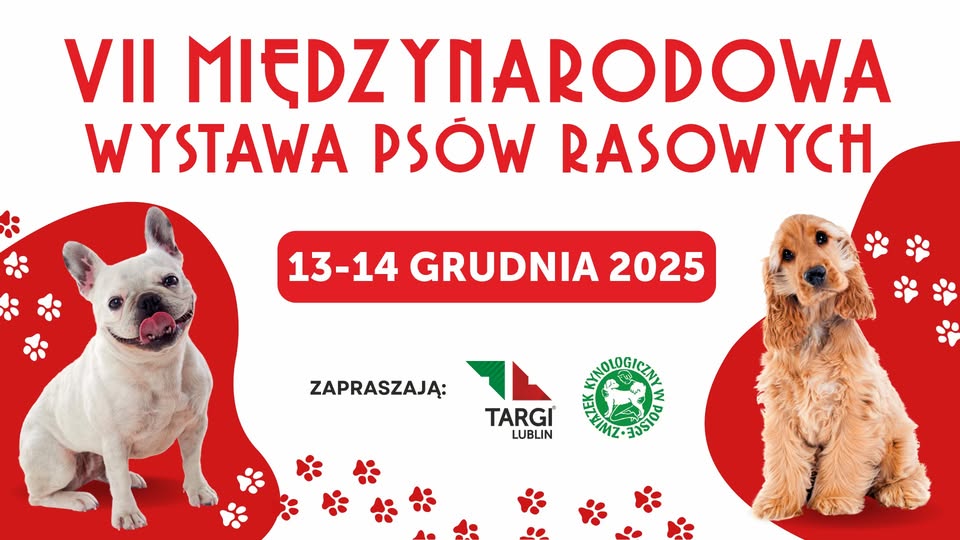 VII Międzynarodowa Wystawa Psów Rasowych w Lublinie 7 568431665 1134491612190901 4476089218333638715 n