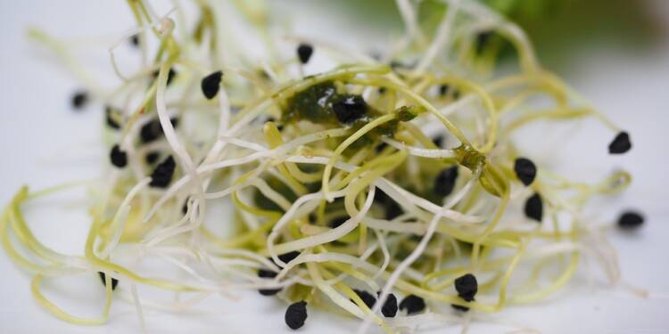 EAttachments3516723480125aac64e9e10888ee5709b6377ec