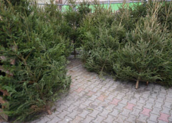 EAttachments4551378ae80b5cd40fb6e6b431abe30e4a81cef xl 1024x576 1