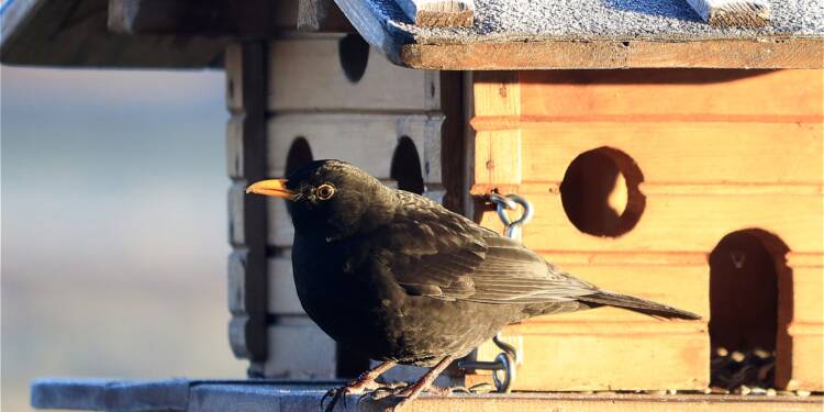 EAttachments59204179140a37385c689ae68cf243996e9ccba