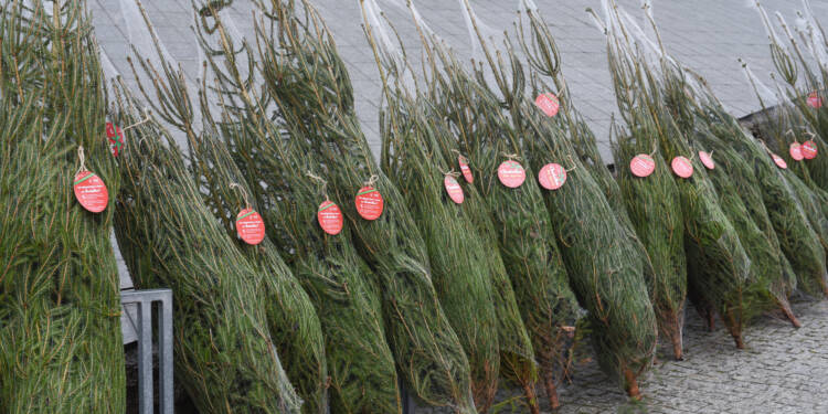 EAttachments59319195bbf8959def0766f77c65bcfa763a411