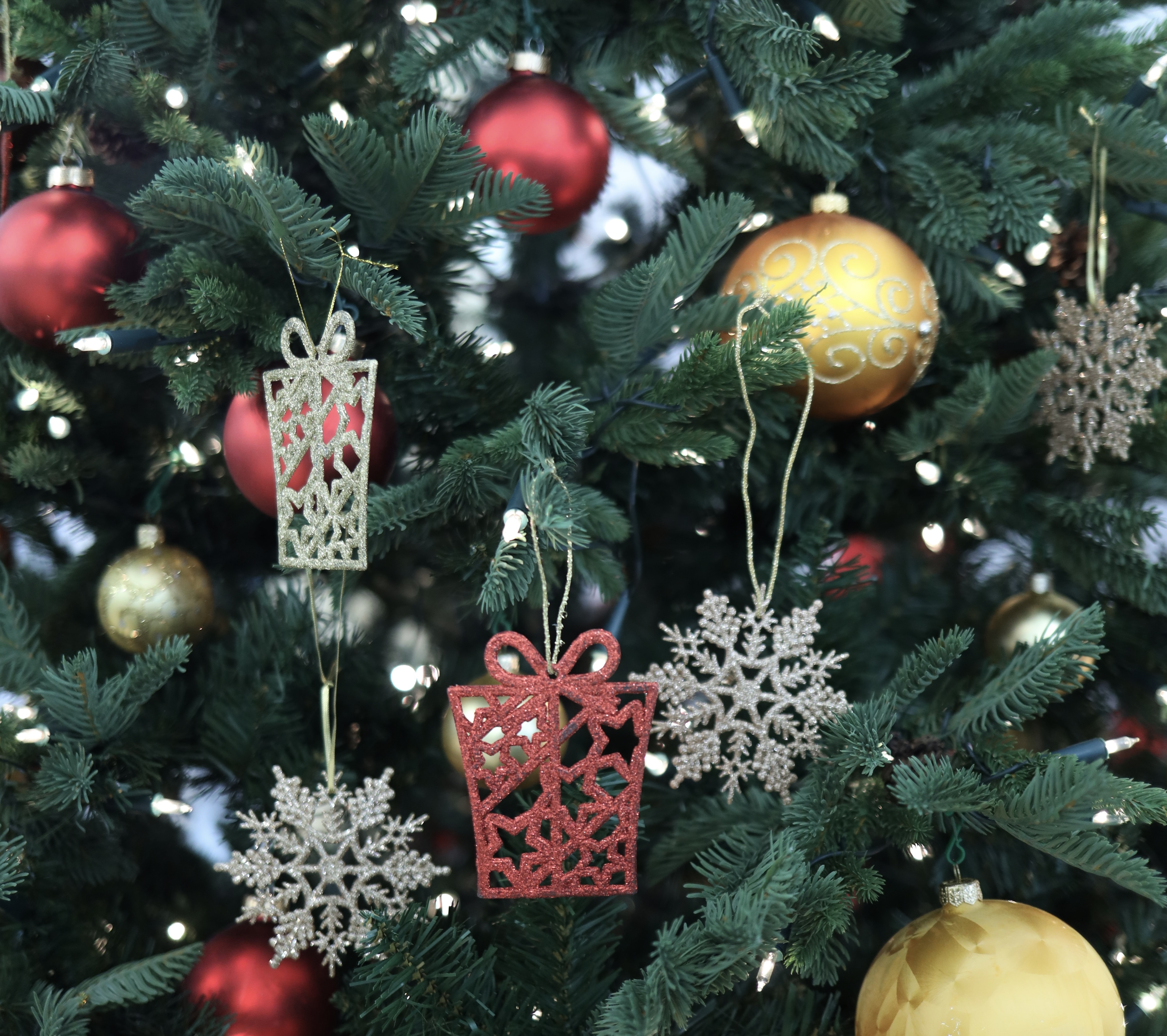 20.12.2025 Mądre dzieci