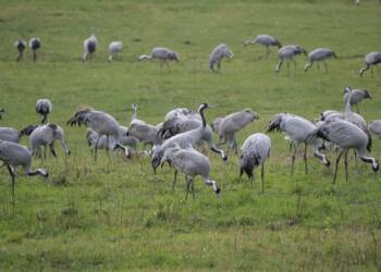 EAttachments6812573e7bc438127426c83f396cbab57f7acf9