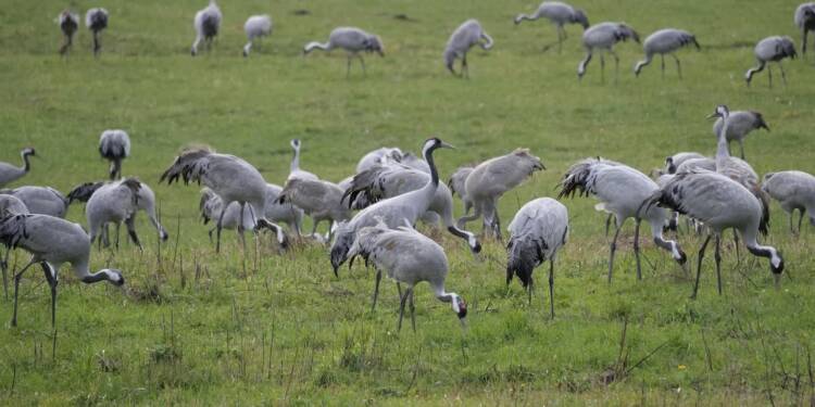 EAttachments6812573e7bc438127426c83f396cbab57f7acf9