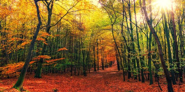 EAttachments751890506b2553d5e0a8998359d8fcca659afd2 1