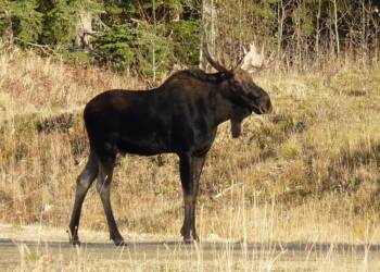 EAttachments820597828cf92ea1bd7dc76f9ed8ce7d8b56f8a