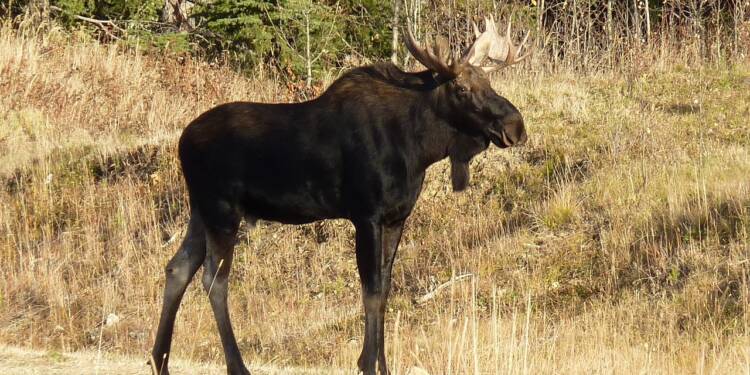 EAttachments820597828cf92ea1bd7dc76f9ed8ce7d8b56f8a