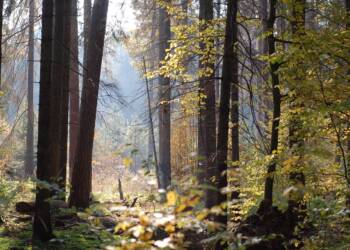 EAttachments82211949b0178213d5012f95e49d2999df8f41e