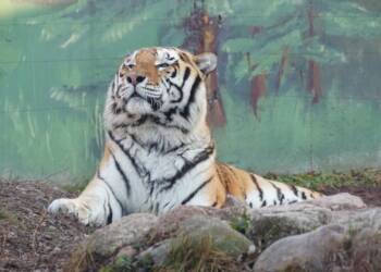 EAttachments8439042027da4856437e4d891dd122ec369f491