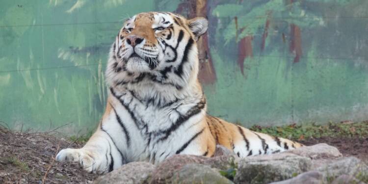 EAttachments8439042027da4856437e4d891dd122ec369f491