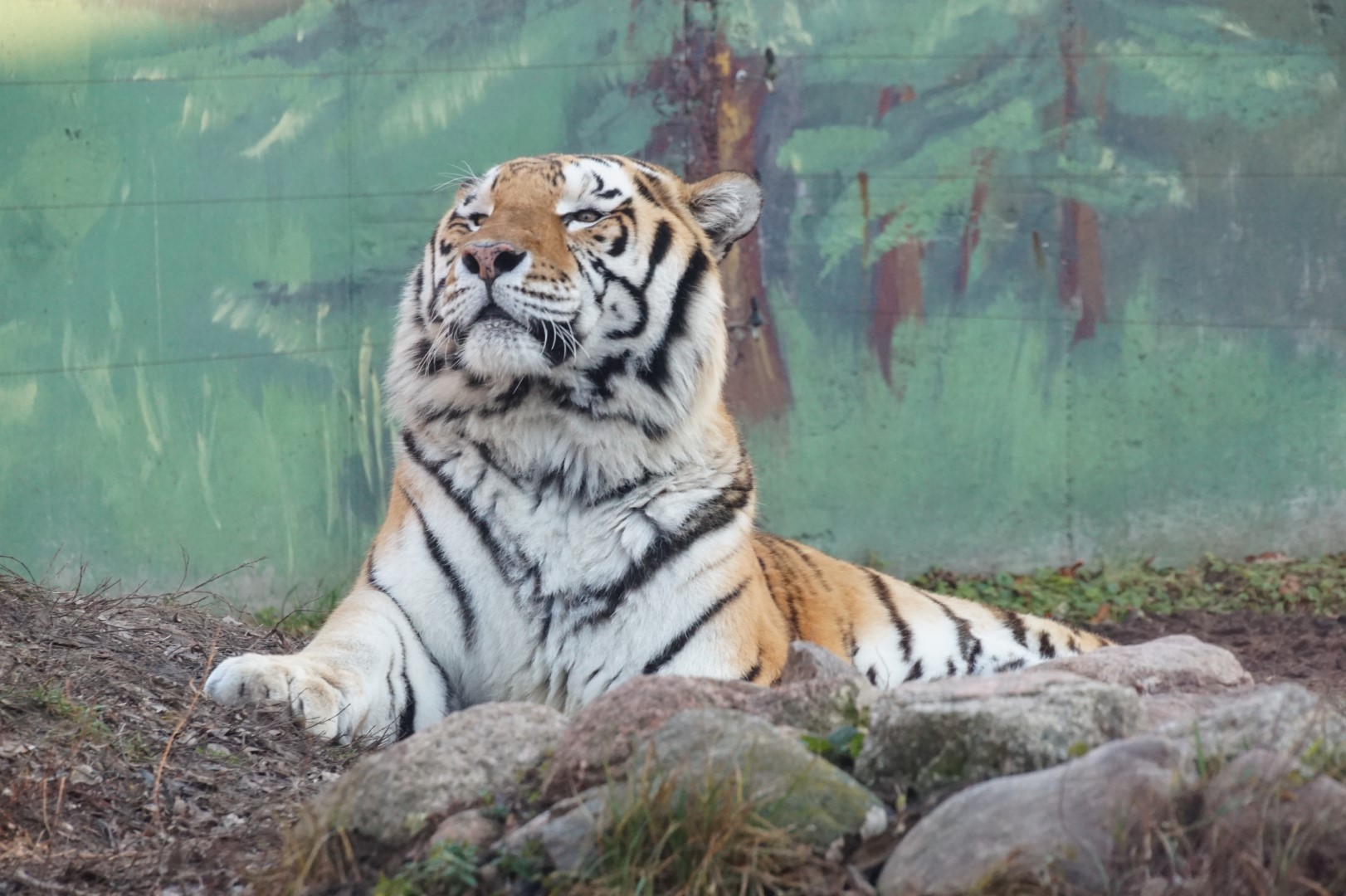 Za darmo do zoo! Zamojski ogród zaprasza
