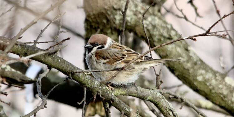 EAttachments8548112a323873423ed4e4267e3ec19431e424b