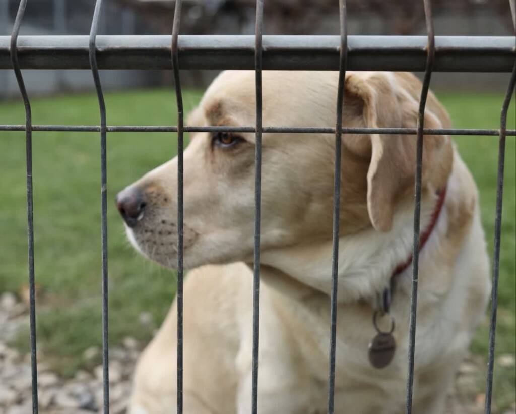 EAttachments8995091d89e3b1818fab70ab637b341c6913e7c xl