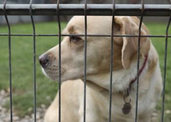 EAttachments8995091d89e3b1818fab70ab637b341c6913e7c xl