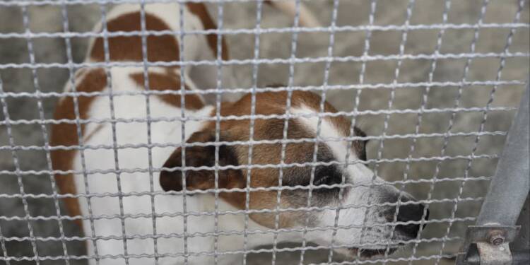 EAttachments8995091dc14a445eb1544d0746b3cba8e539006 xl