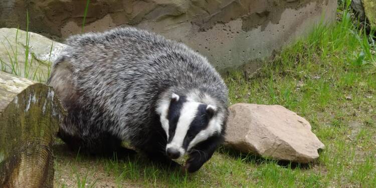 11.10.2025 Leśne wędrowanie 1 EAttachments900826751b981edc574a4dadbdafe69db806124 xl