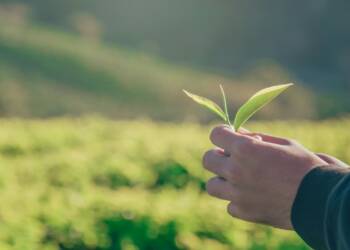 EAttachments9020376d574857dd0a94c83b854ddcf05d53c93 xl