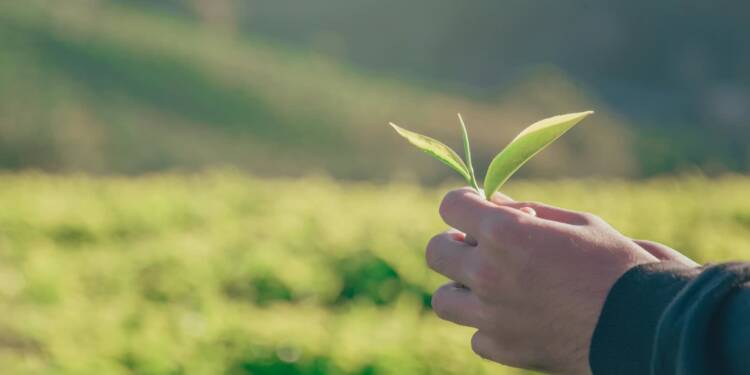 EAttachments9020376d574857dd0a94c83b854ddcf05d53c93 xl