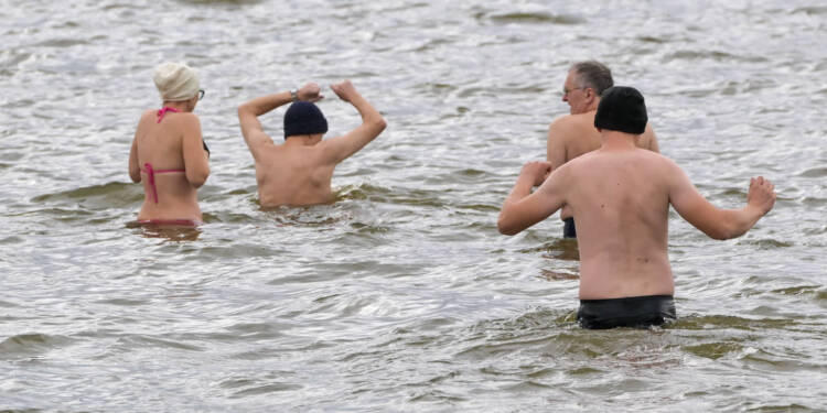 EAttachments9038263a526159aee9bf8ffe4a6e4a1a033e9ac xl