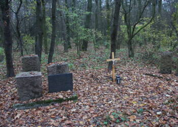 EAttachments9049806f1b5142bdcc64f15f75af70867dd955c xl