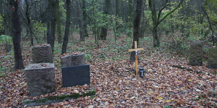 01.11.2025 Leśne wędrowanie 1 EAttachments9049806f1b5142bdcc64f15f75af70867dd955c xl