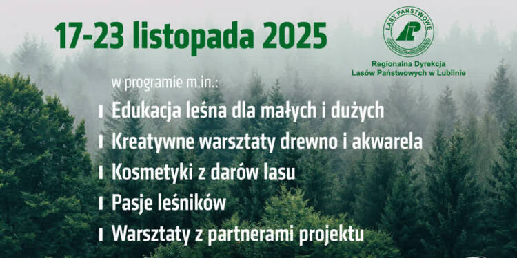 EAttachments90755147cca1e168158a33f35d8aaac7b84c6c6 xl