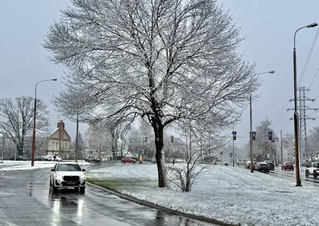 "Pierwsze dni ze śniegiem zawsze są trudne". Zimowe zasady jazdy 1 EAttachments908964658fac61a449d41dbe0e544d5578af4ed xl